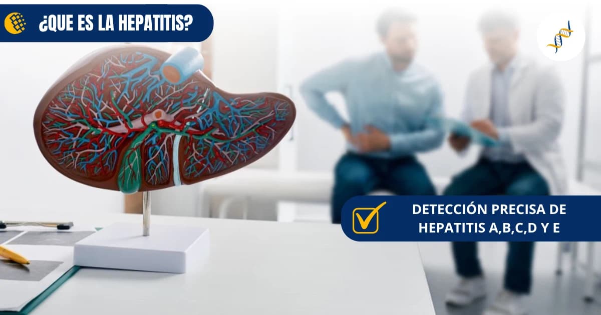 Hepatitis: Conoce los tipos, síntomas y cómo detectarla a tiempo - Artículo de LabClinics