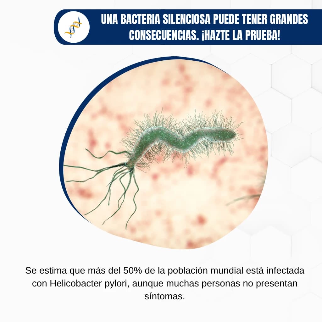 Helicobacter pylori en La Paz, Bolivia: La bacteria silenciosa que debes detectar a tiempo - Artículo de LabClinics