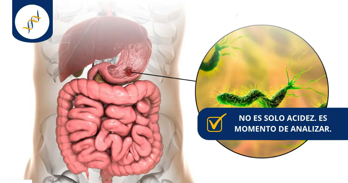 Infografía sobre Helicobacter pylori